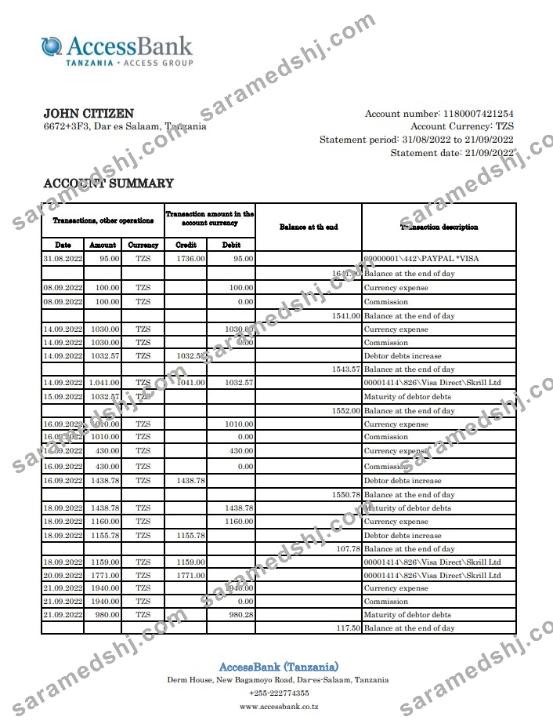 Tanzania Access Bank statement